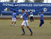 foto de la actividad