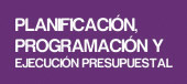 Planificacin, programacin y ejecucin presupuestal